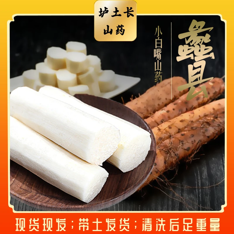 [产地直发]河北特产蠡县麻山药小白嘴山药铁棍山药新鲜山药