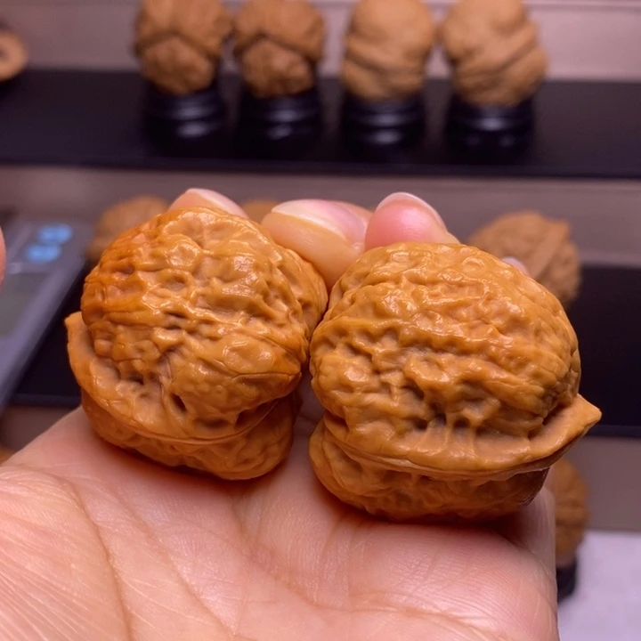 文玩核桃把件卧莲金蟾62