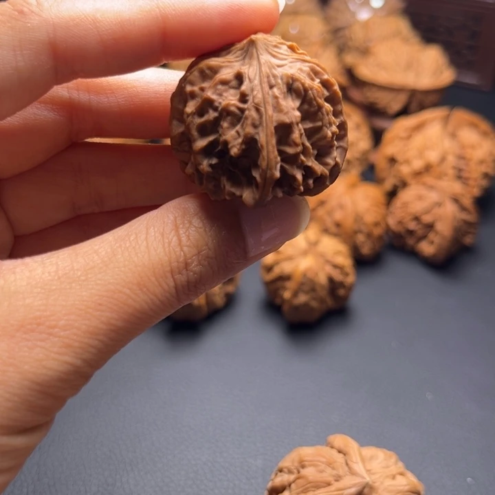 T*M核桃哈哈哈哈哈哈哈哈