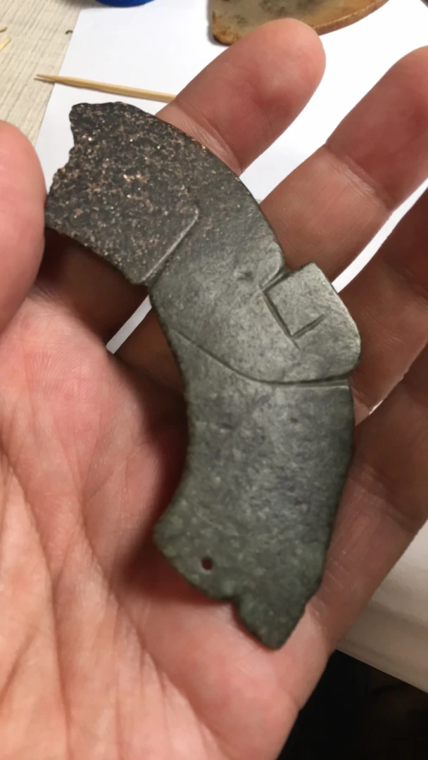 工艺超好的标本片