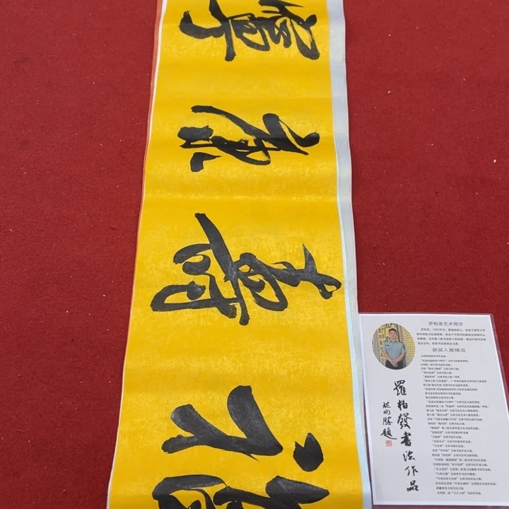 书法罗柏发老师书法作品集