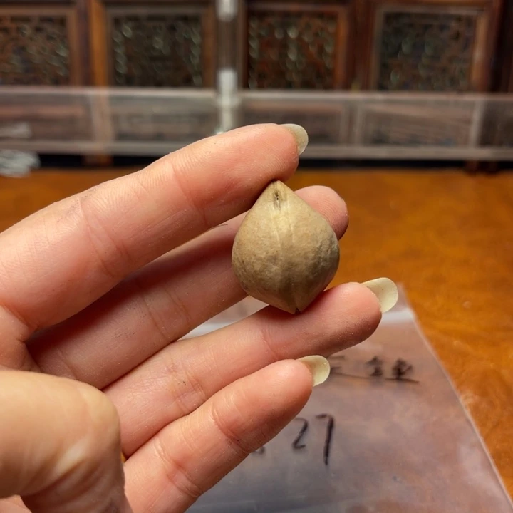 鸿***鱼手串/手链橄榄核素串