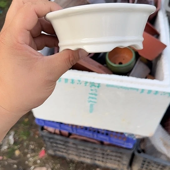 你不说实话的啊就当给了