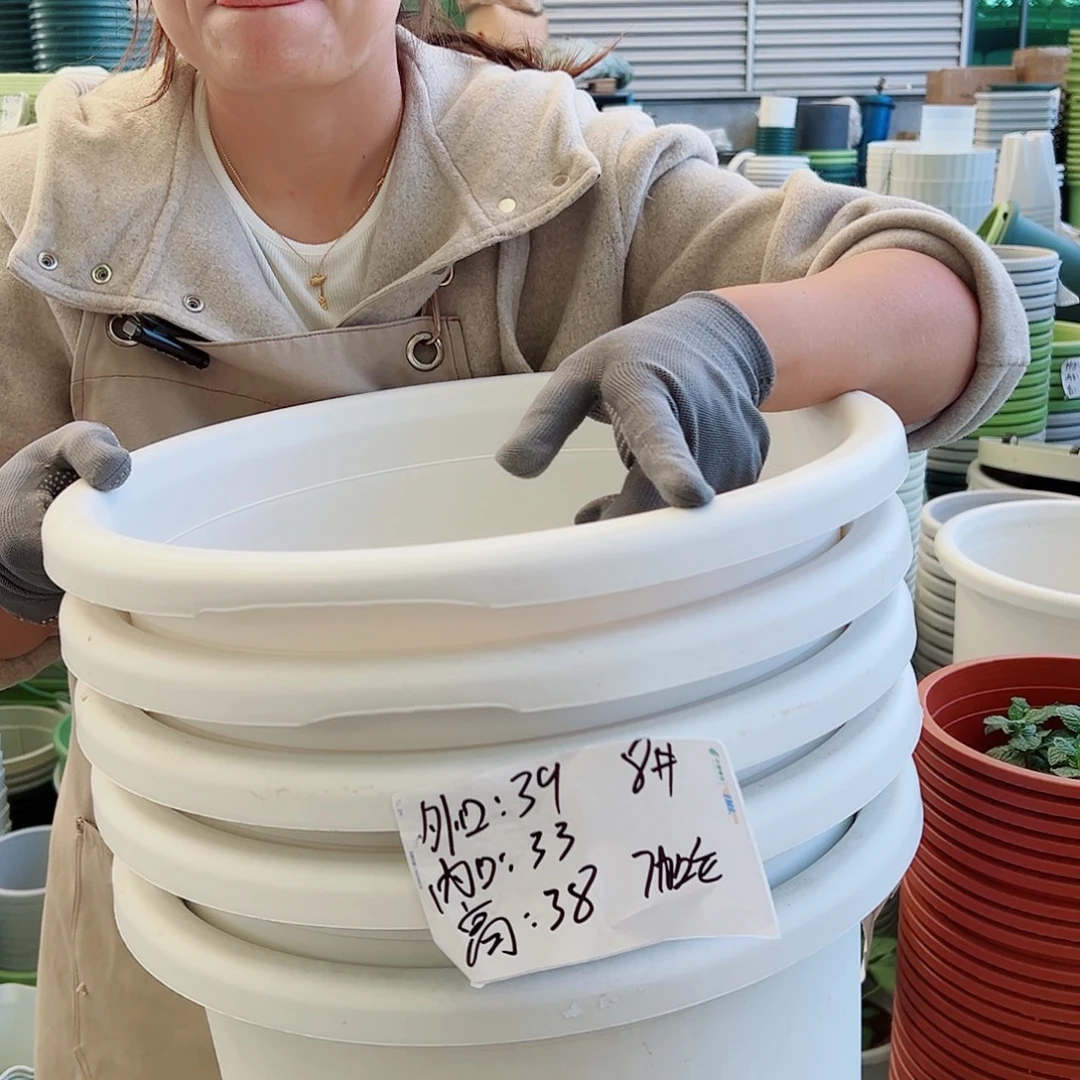 瑕疵四季盆8#白色5个无托