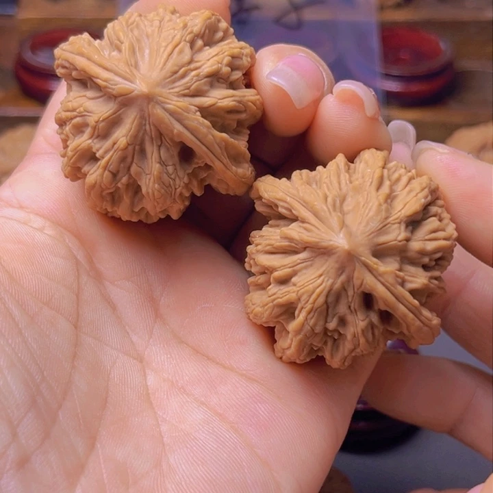 飛*核桃专用链接，麦虎40