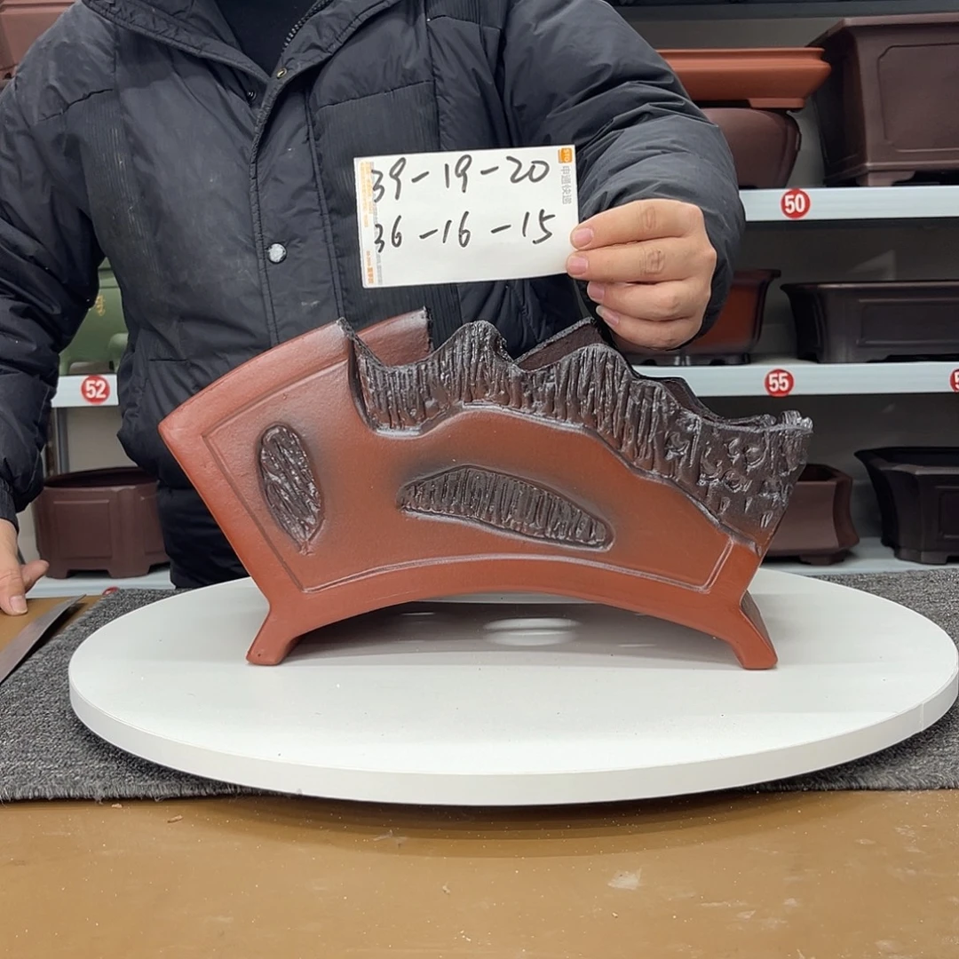 花盆紫砂早早的睡