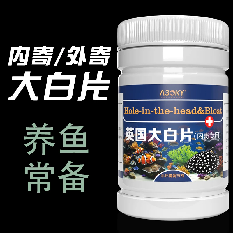 英国大白片观赏鱼常备龙鱼罗汉鱼内寄头洞外寄白点常用产品