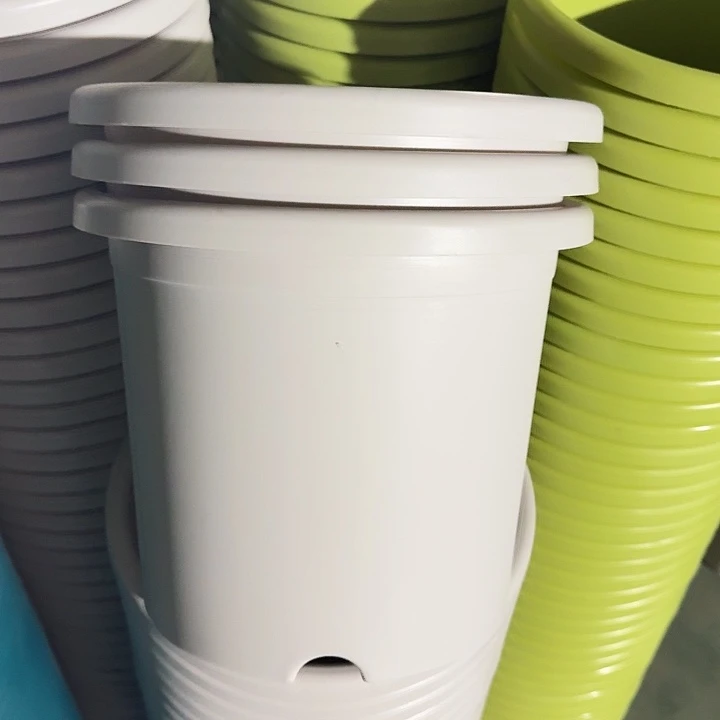 四季5#口径29灰白10个无托