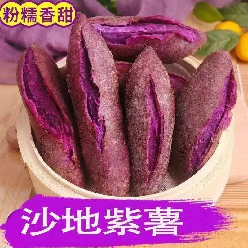 农家自种新鲜沙地紫罗兰紫薯粉糯香甜健康粗粮代餐新鲜现挖现发