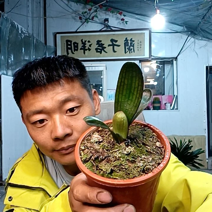 @田园牧歌100血一号