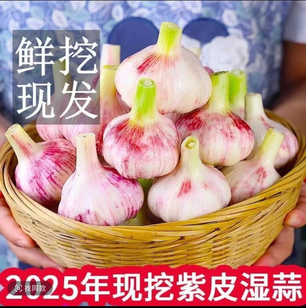 【鲜蒜】2025年头茬现挖河南鲜蒜多瓣紫皮大蒜嫩蒜可腌制厨房必备2
