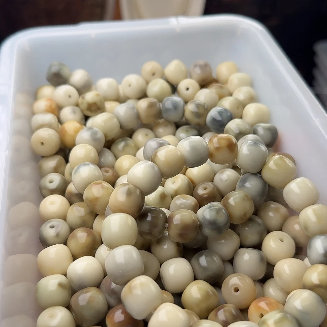 菩提根/象牙果吊坠50 颗骨瓷霉豆腐 13 桶