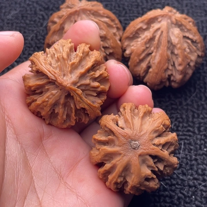 文玩核桃把件文玩核桃24