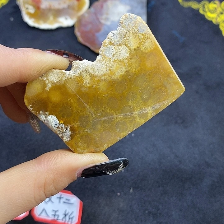 硅化玉未镶嵌颈饰