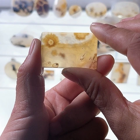 【闪购商品】玛瑙/玉髓珠宝半成品合金