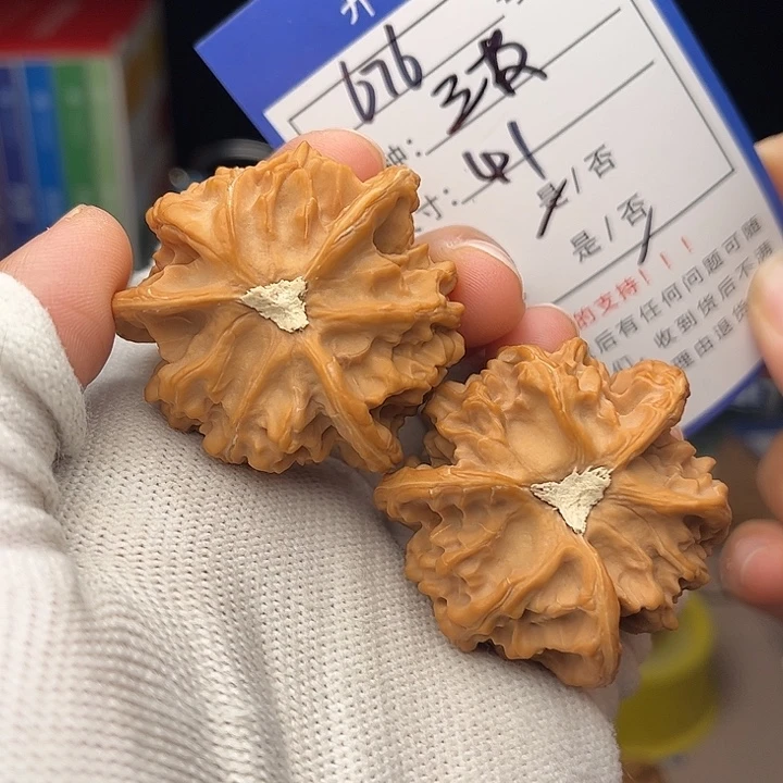 文玩核桃手捻核桃676