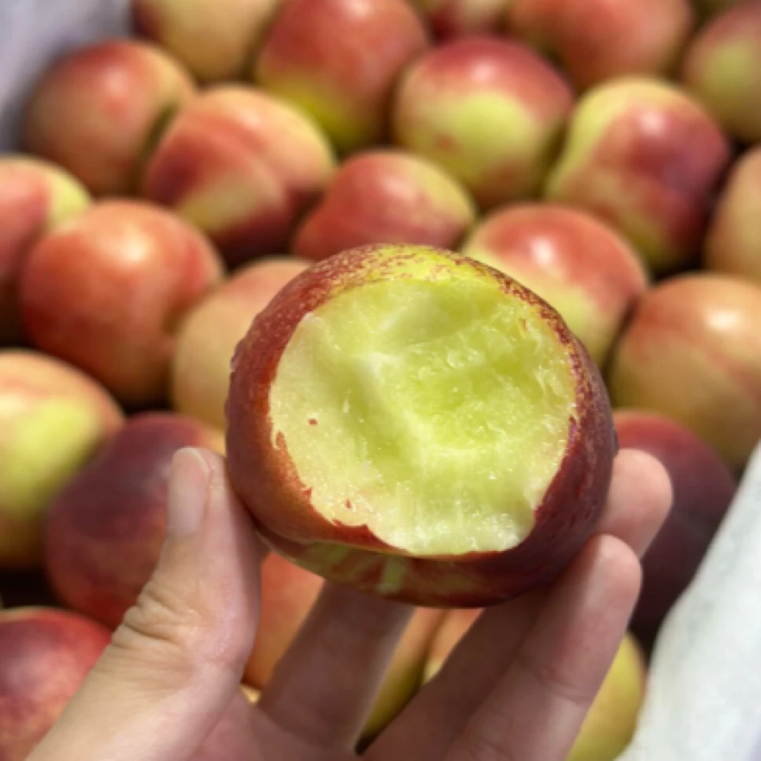 【珍珠枣油桃】新鲜珍珠枣油桃当季新鲜采摘3斤5斤