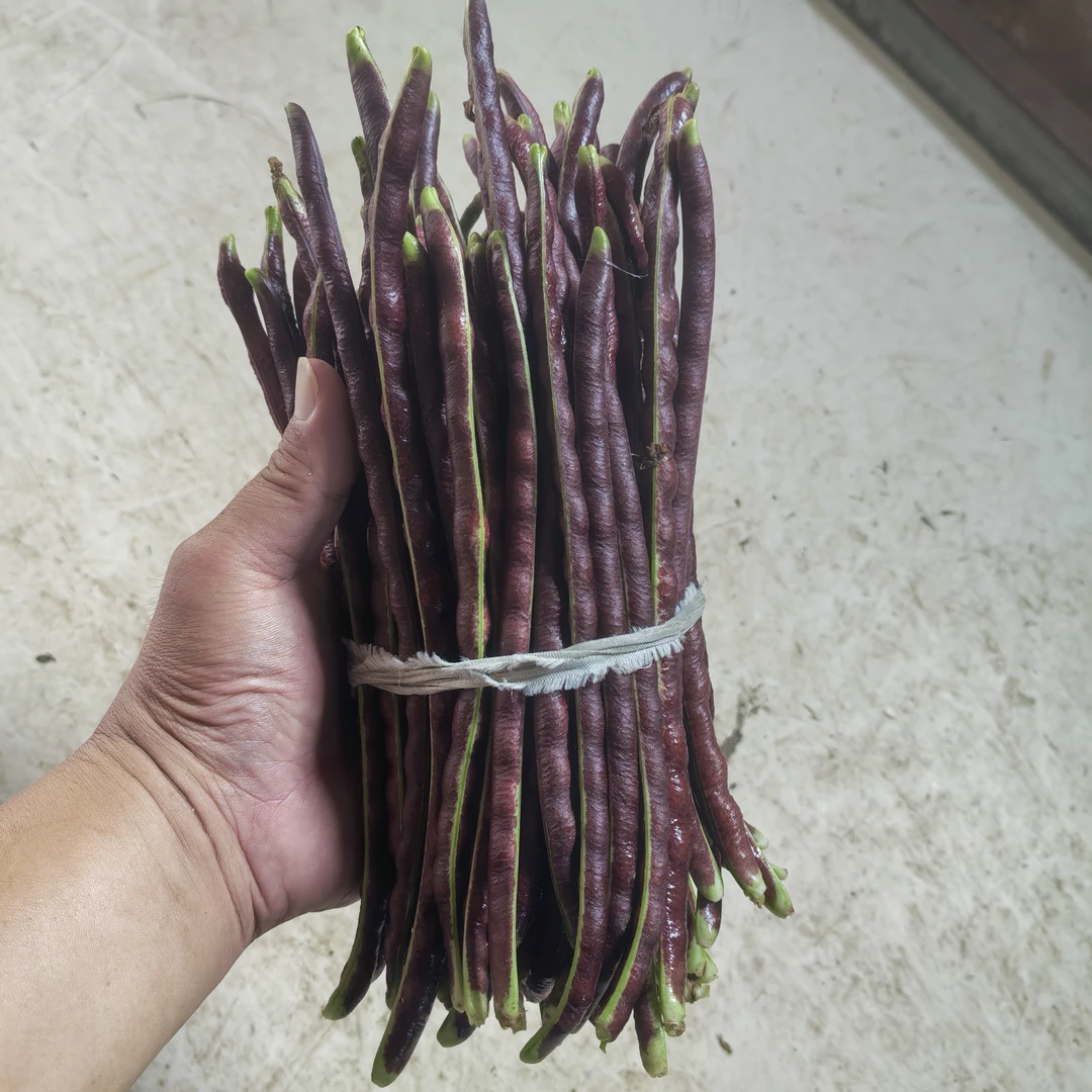 新鲜七寸红豇豆农家紫豇豆当季蔬菜2/3/4斤顺丰