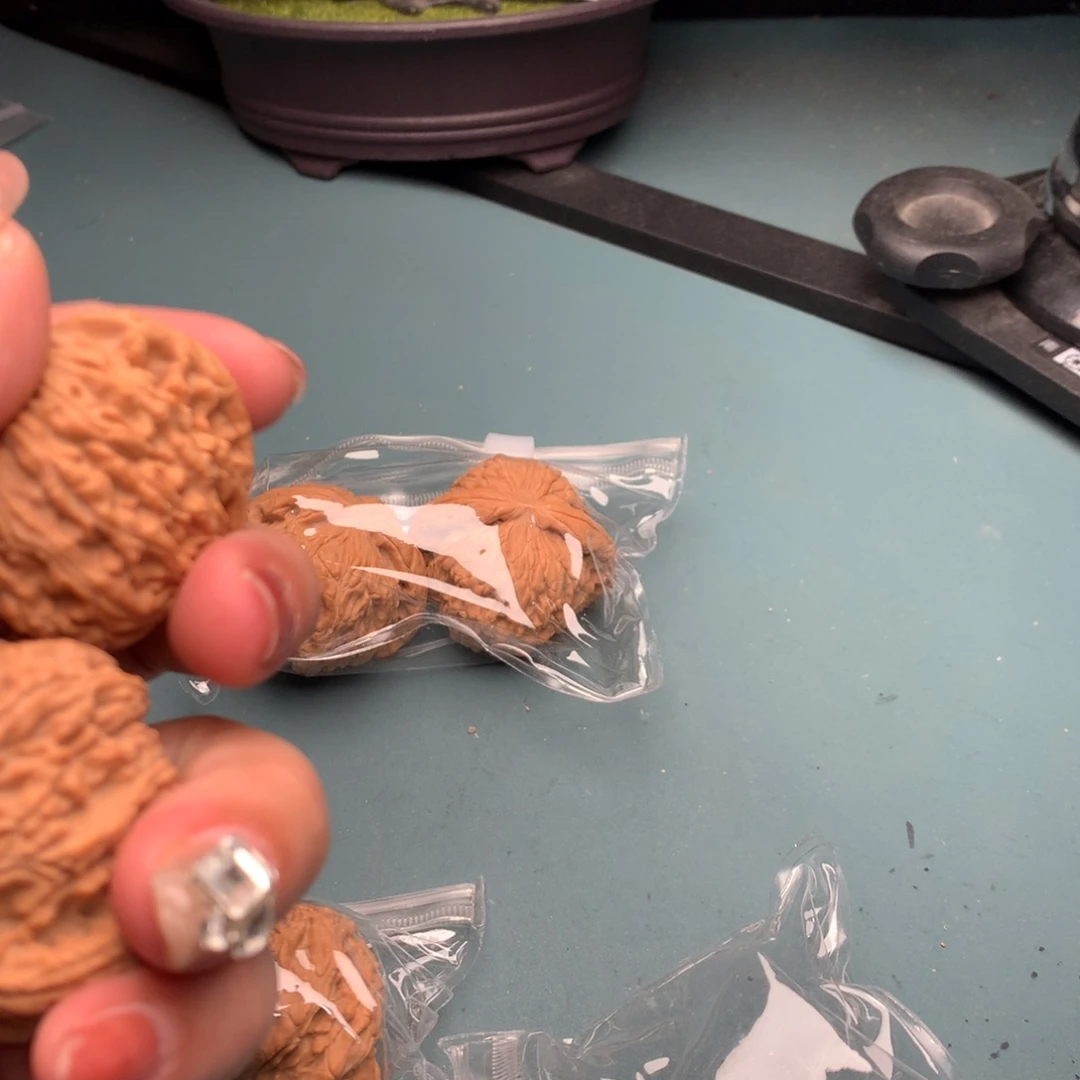 文玩核桃把件全品白狮子4445