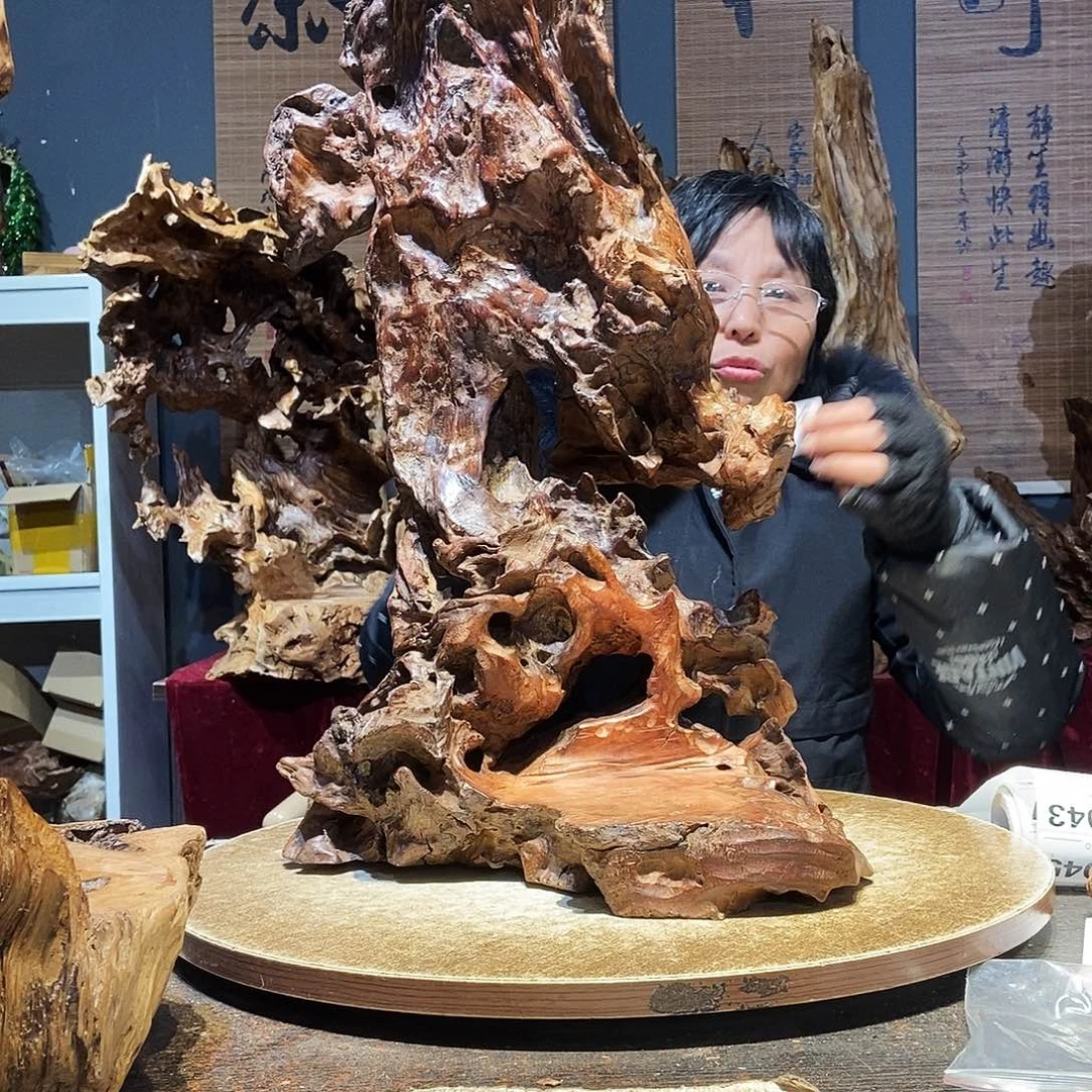 升***哥041。株木随行根艺