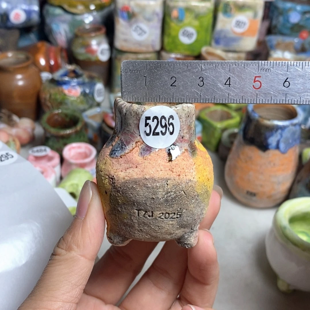 拍3送一个小礼物