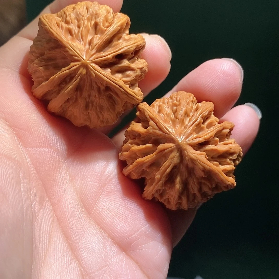 把件文玩核桃40野牛六棱