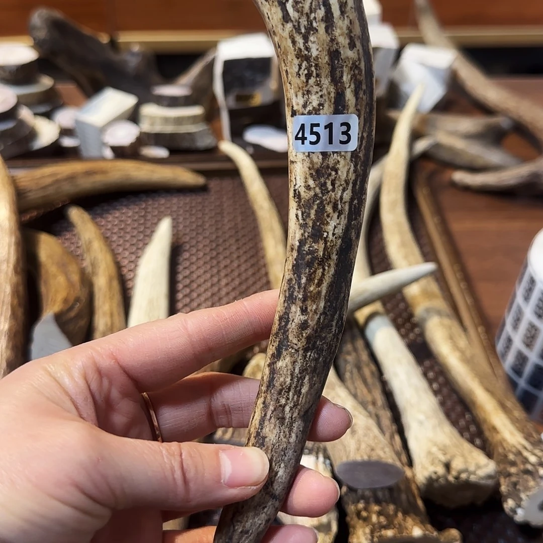 手串/手链鹿骨4513角尖