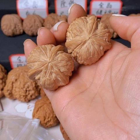 文玩核桃吸金兽核桃