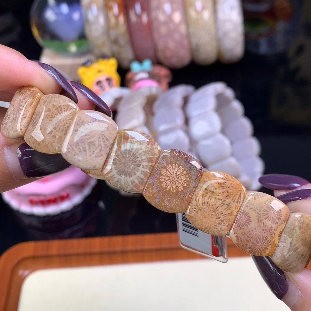 【闪购商品】颈饰未镶嵌硅化珊瑚（珊瑚玉）福利200漏128（19号）