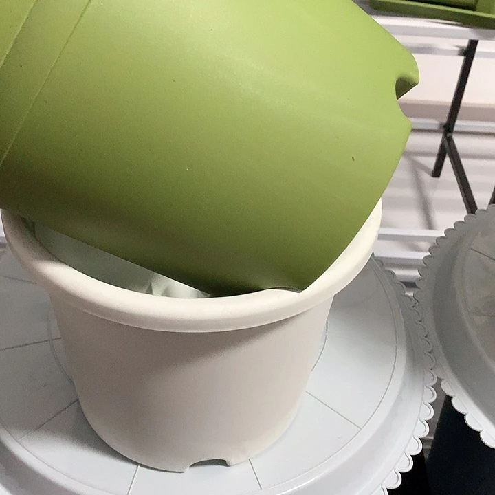 21口果绿无托5个伊特