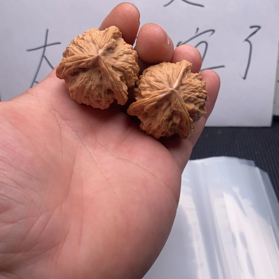 核桃哈哈哈哈哈哈哈哈哈