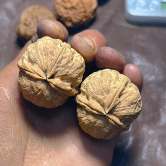 文玩核桃把件卡40蚂蚱头27号