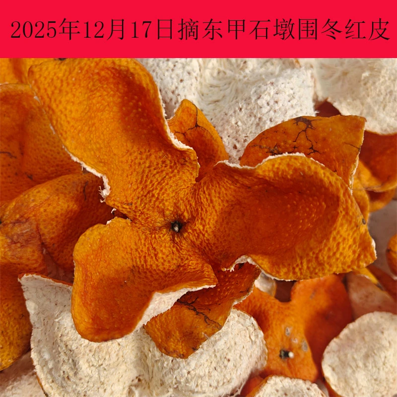 2025年东甲石墩围11年老树纯种圈枝冬红皮大红皮老陈皮干袋装散装