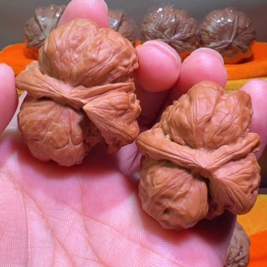 蛤蟆头粗大犀牛角