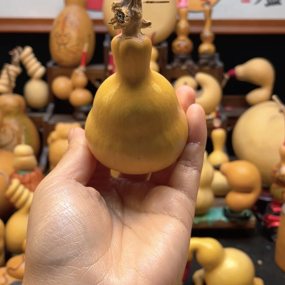 栀*大自然的秘密是什么呢我