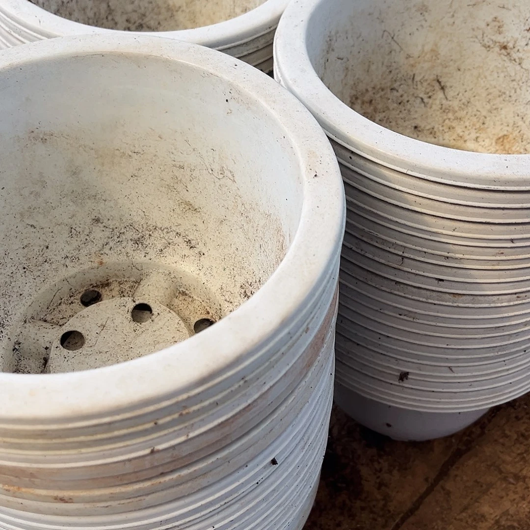 旧口径19高12白圆盆20个