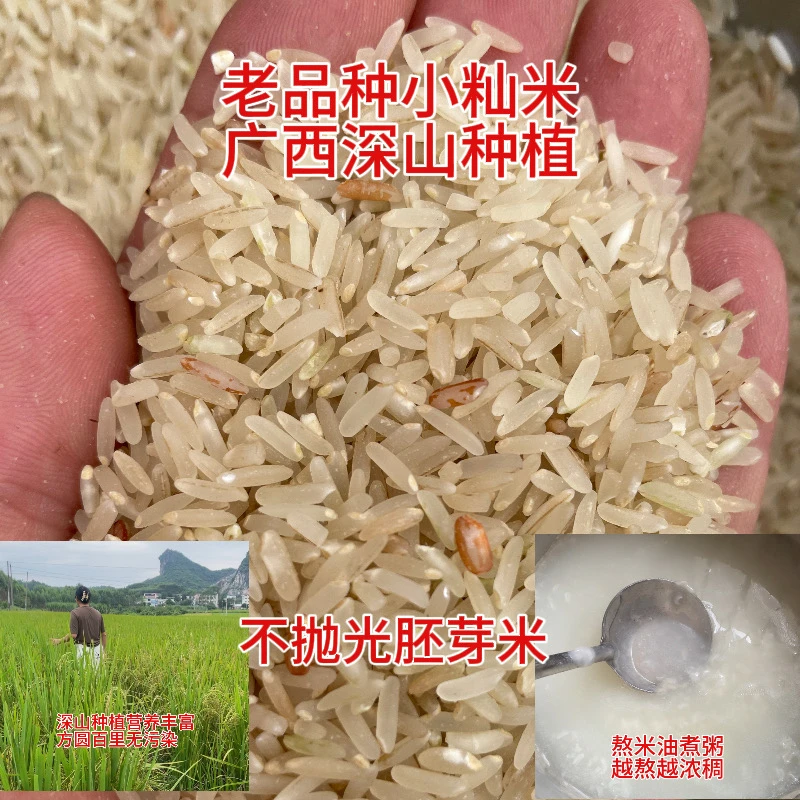 25年新米广西老品种农家小籼米熬米汤米油多软香不抛光胚芽米2斤
