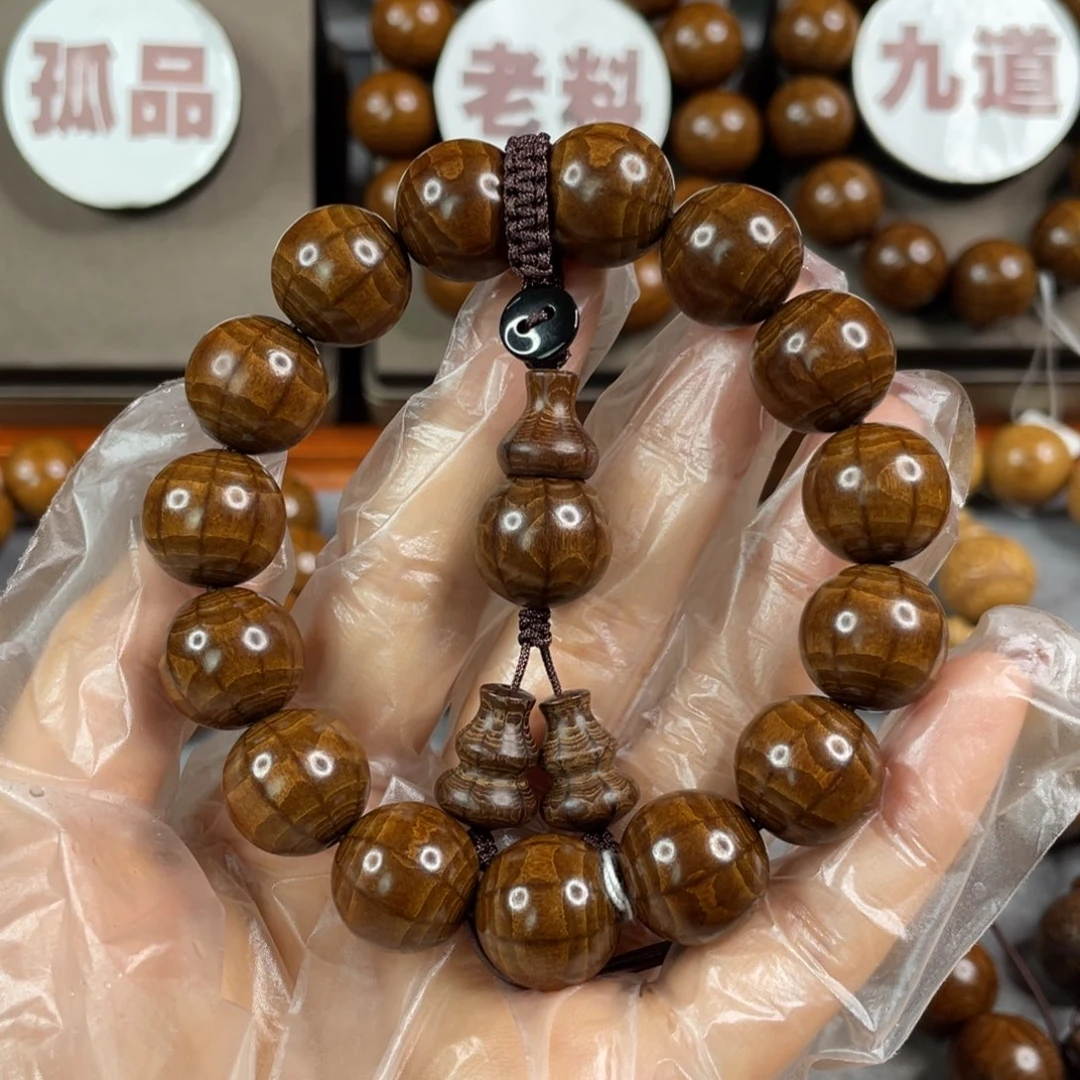 六道木风**里九道 枯树， 天花板1.5