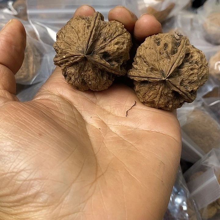 核桃云南铁核桃基地18