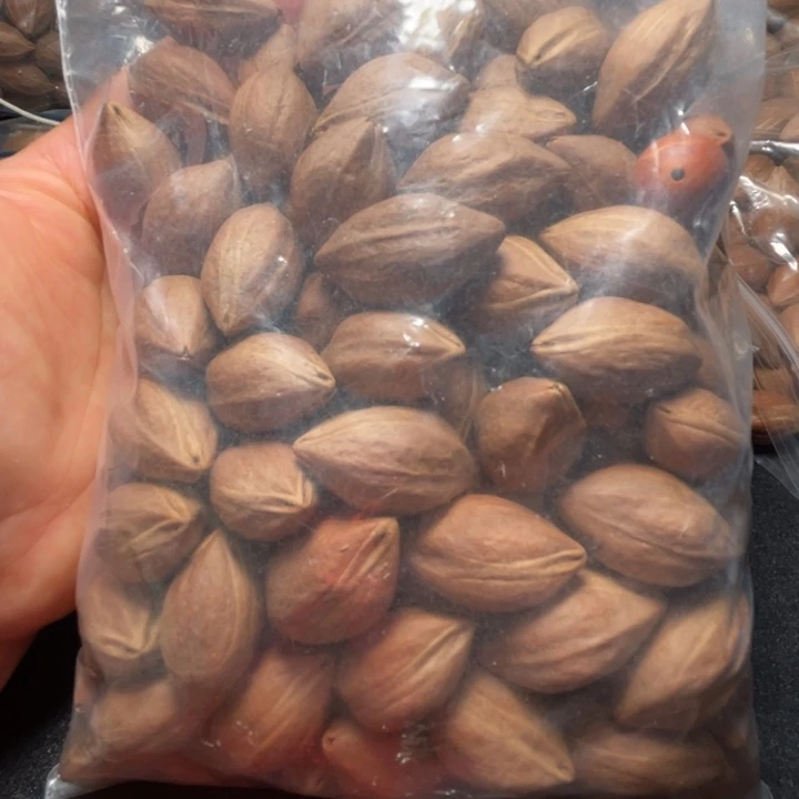 猪牙手串/手链我是