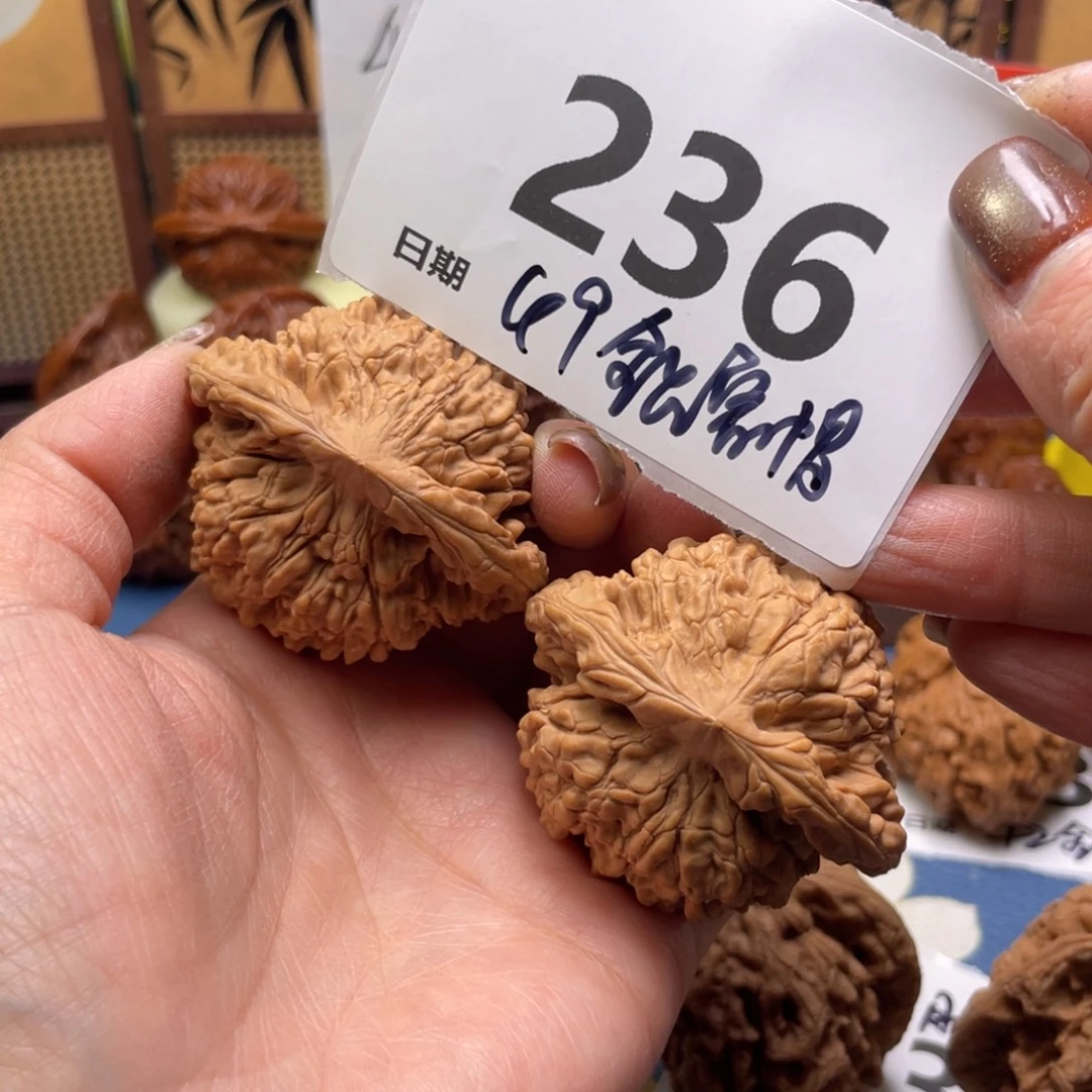 文玩核桃把件236号49全品官帽