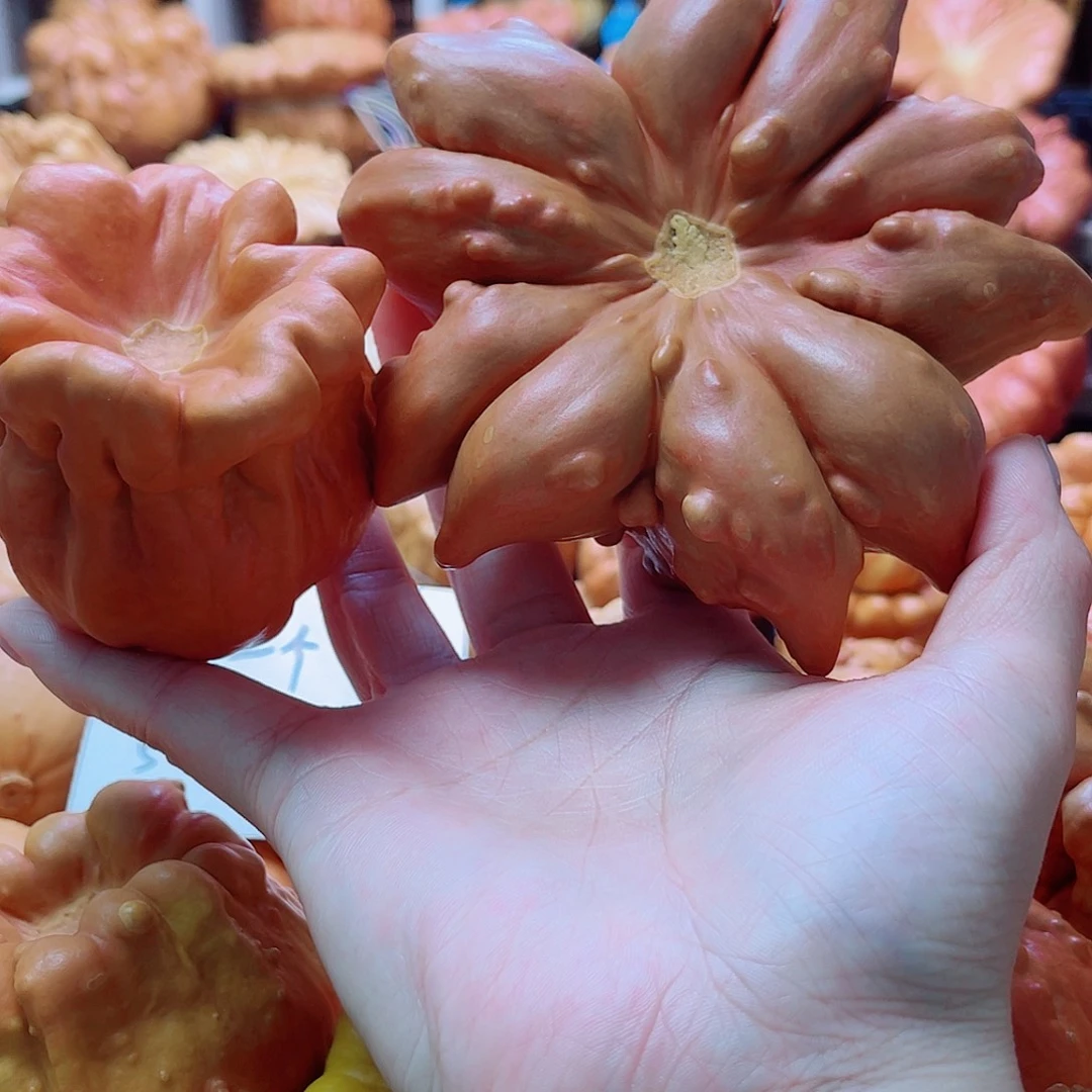 M***﹉陶瓷墨西哥葫芦可盘可摆微瑕