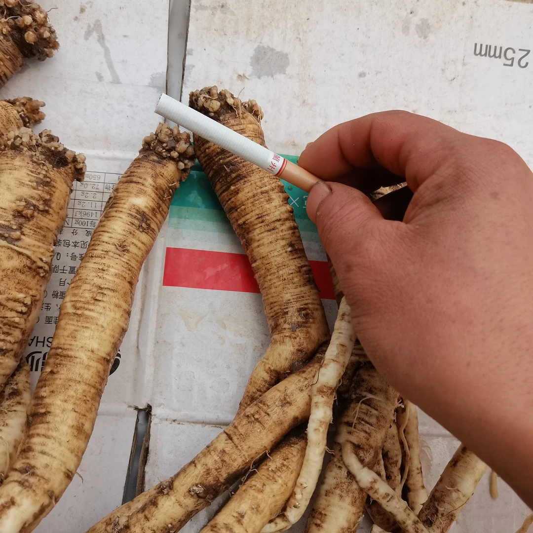 纹党产地精品鲜纹党参5年以上生长泡水泡酒煲汤