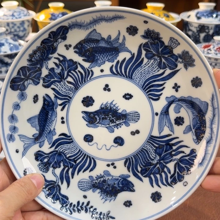 ………………………………………………………………