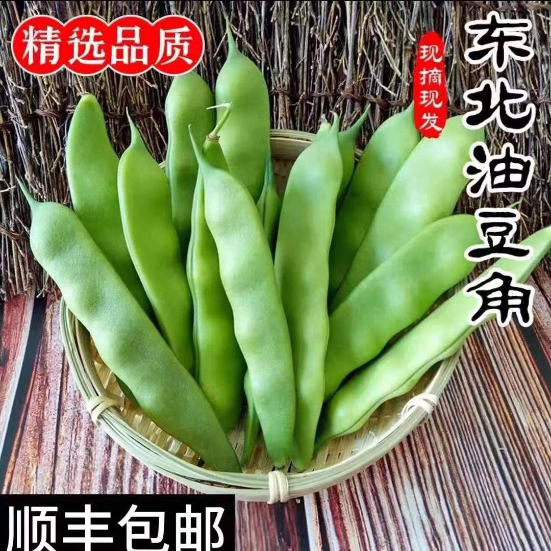东北新鲜绿油豆现摘现发4.5斤顺丰包邮