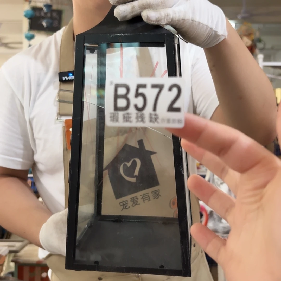 核桃木/黑胡桃（胡桃木）