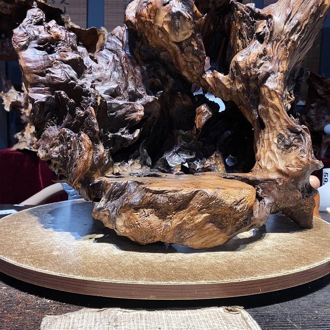 T***e587株木随行的小根艺