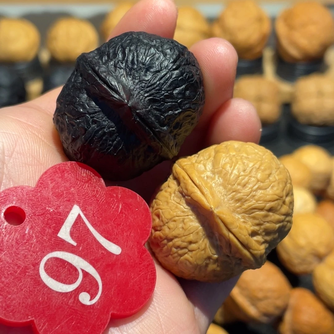 太极阴阳球核桃34
