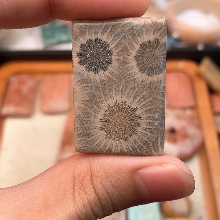 硅化玉颈饰未镶嵌小*