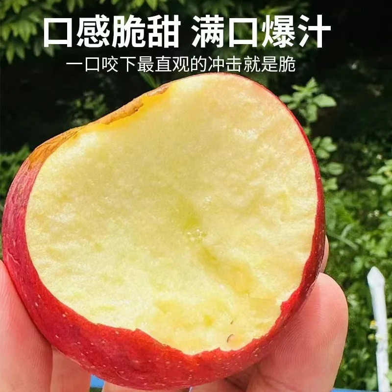云南昭通红露丑苹果新鲜脆甜多汁当季现摘水果
